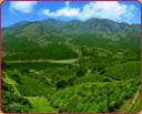 tour to South India hill stations